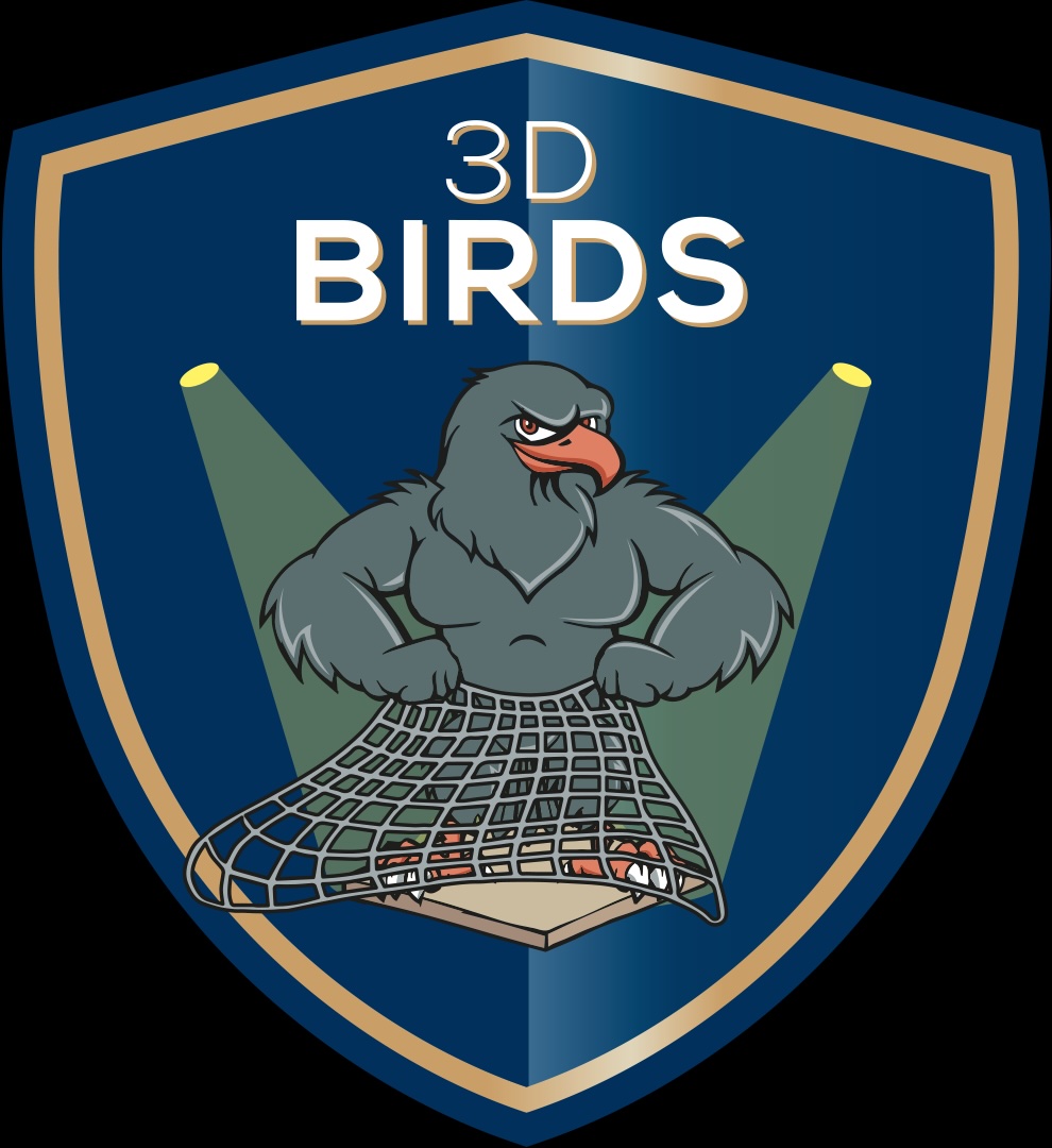 Logo 3D BIRDS